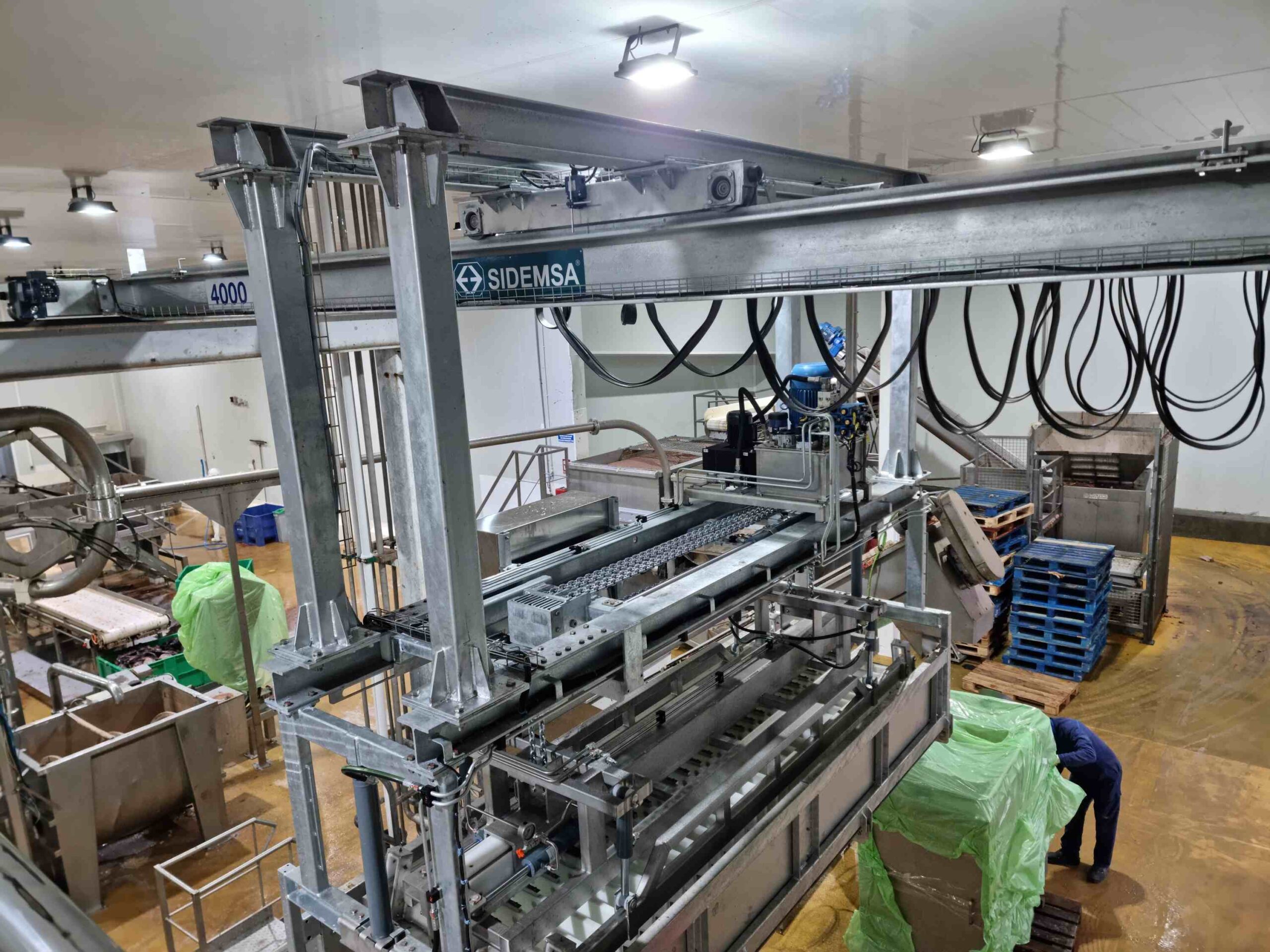 Grúa inoxidable de 4000 kg fabricada a medida por SIDEMSA